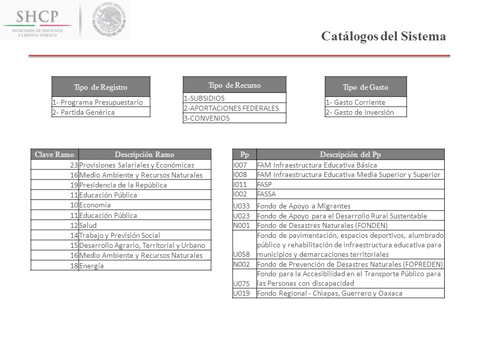 Catálogos del Sistema Tipo de Registro 1- Programa Presupuestario