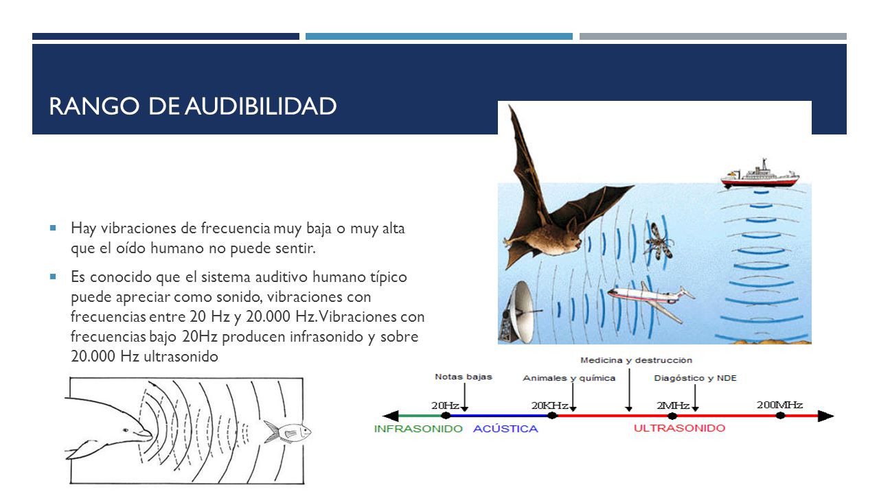 Rango de audibilidad Hay vibraciones de frecuencia muy baja o muy alta que el oído humano no puede sentir.