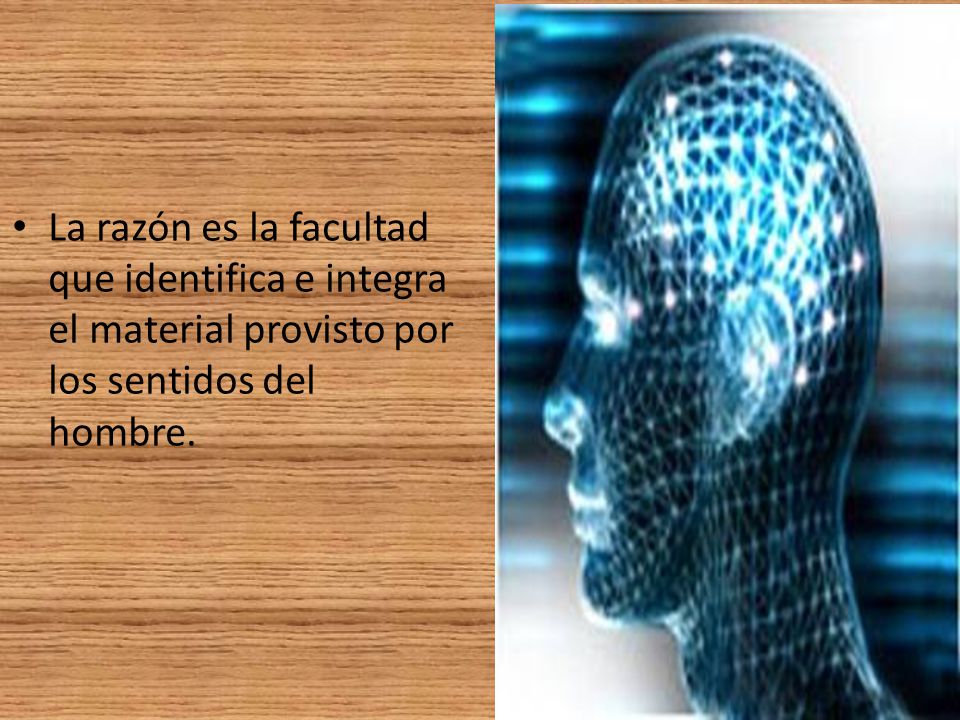 La razón es la facultad que identifica e integra el material provisto por los sentidos del hombre.