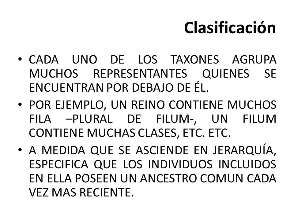 Clasificación CADA UNO DE LOS TAXONES AGRUPA MUCHOS REPRESENTANTES QUIENES SE ENCUENTRAN POR DEBAJO DE ÉL.