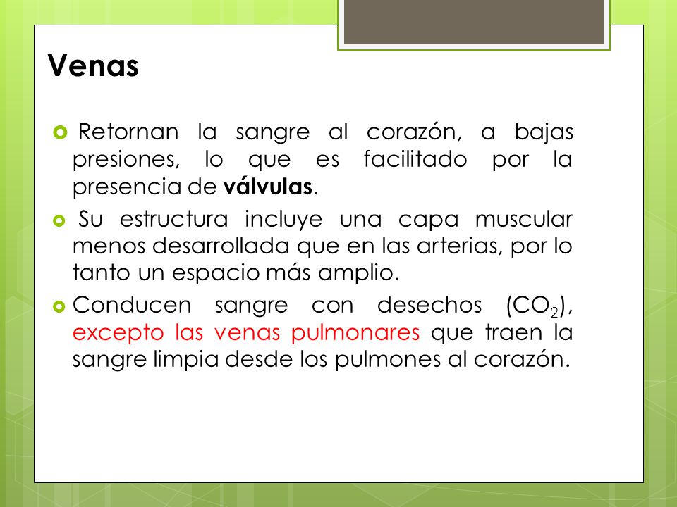 Venas Retornan la sangre al corazón, a bajas presiones, lo que es facilitado por la presencia de válvulas.