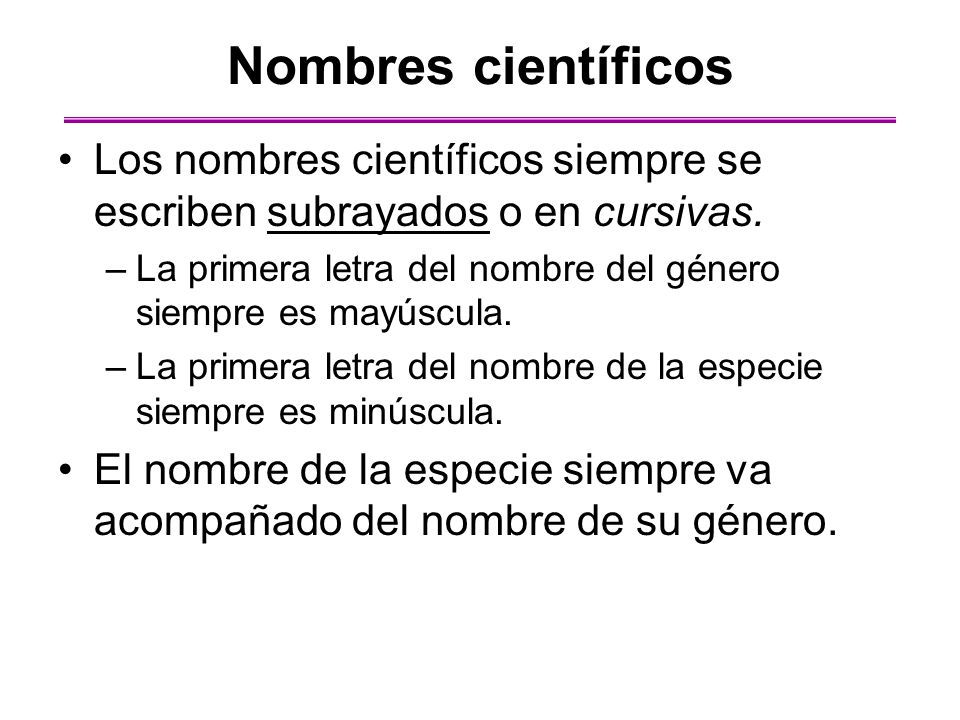 Nombres científicos Los nombres científicos siempre se escriben subrayados o en cursivas.
