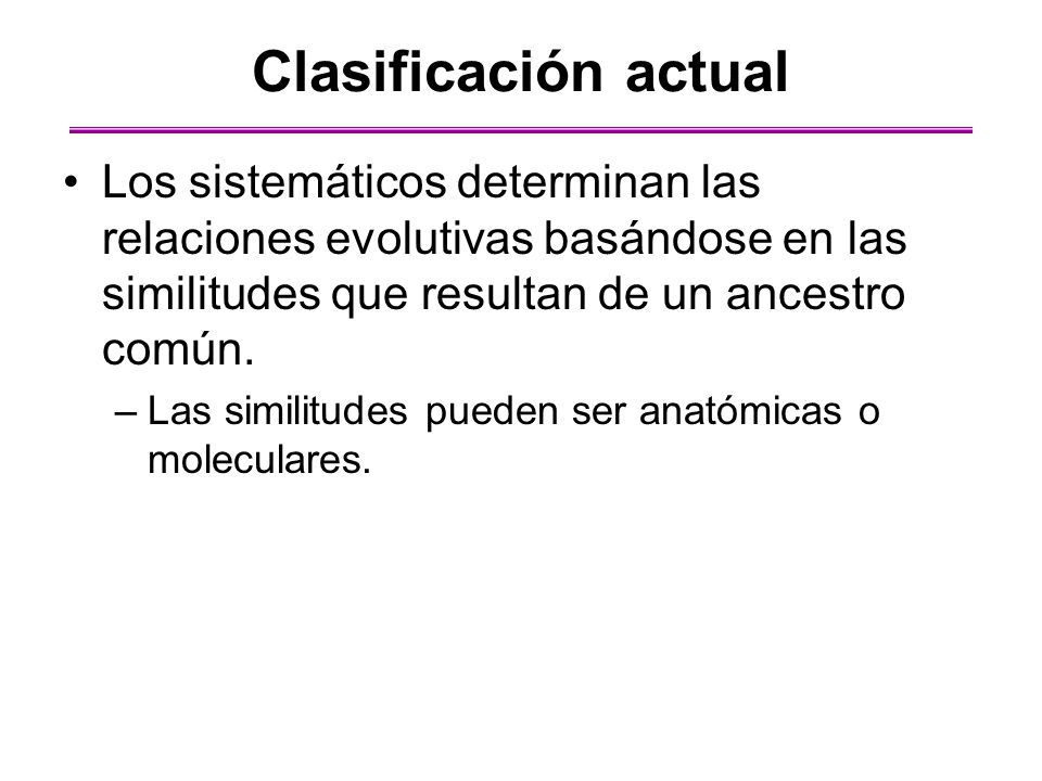 Clasificación actual Los sistemáticos determinan las relaciones evolutivas basándose en las similitudes que resultan de un ancestro común.