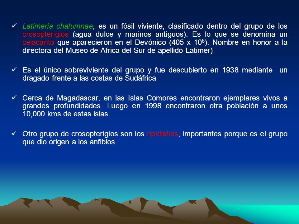 Latimeria chalumnae, es un fósil viviente, clasificado dentro del grupo de los crosopterigios (agua dulce y marinos antiguos). Es lo que se denomina un celacanto que aparecieron en el Devónico (405 x 106). Nombre en honor a la directora del Museo de Africa del Sur de apellido Latimer)