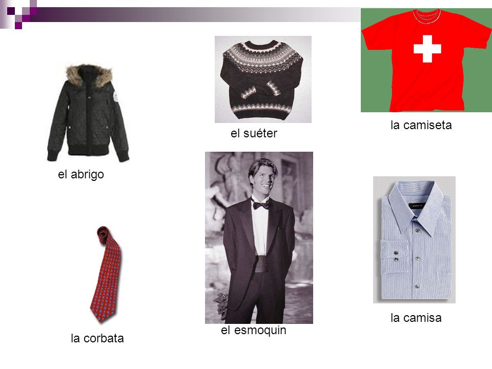 la camiseta el suéter el abrigo la camisa el esmoquin la corbata