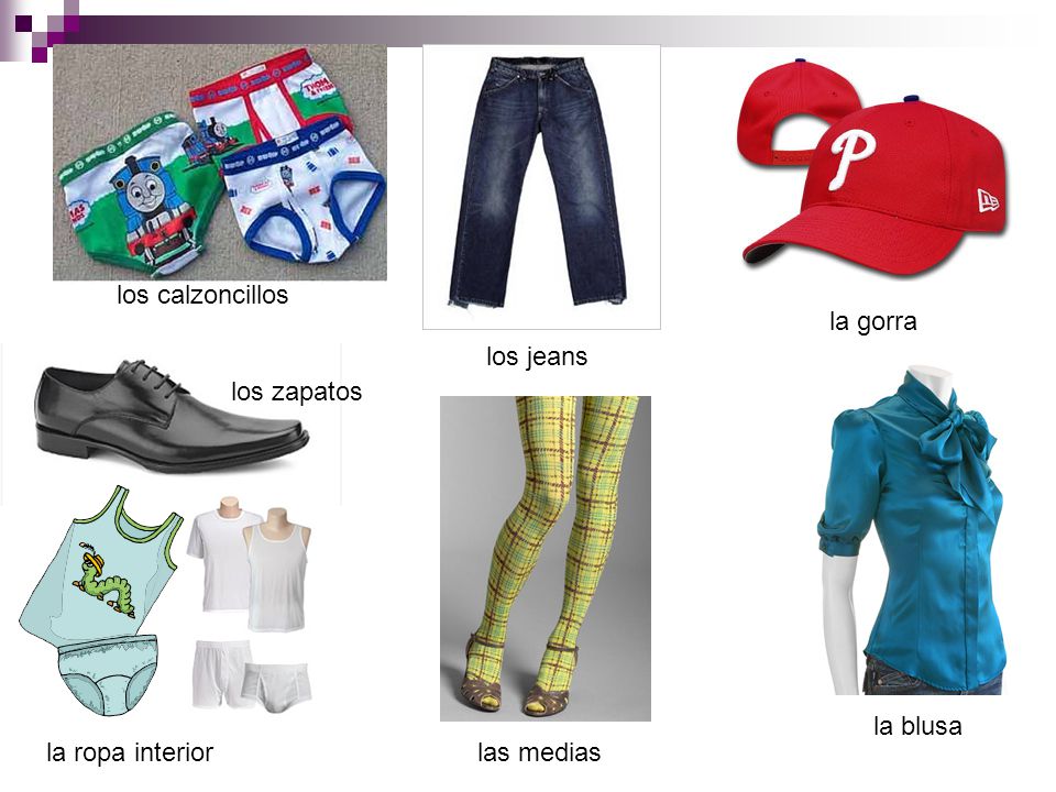 los calzoncillos la gorra los jeans los zapatos la blusa la ropa interior las medias