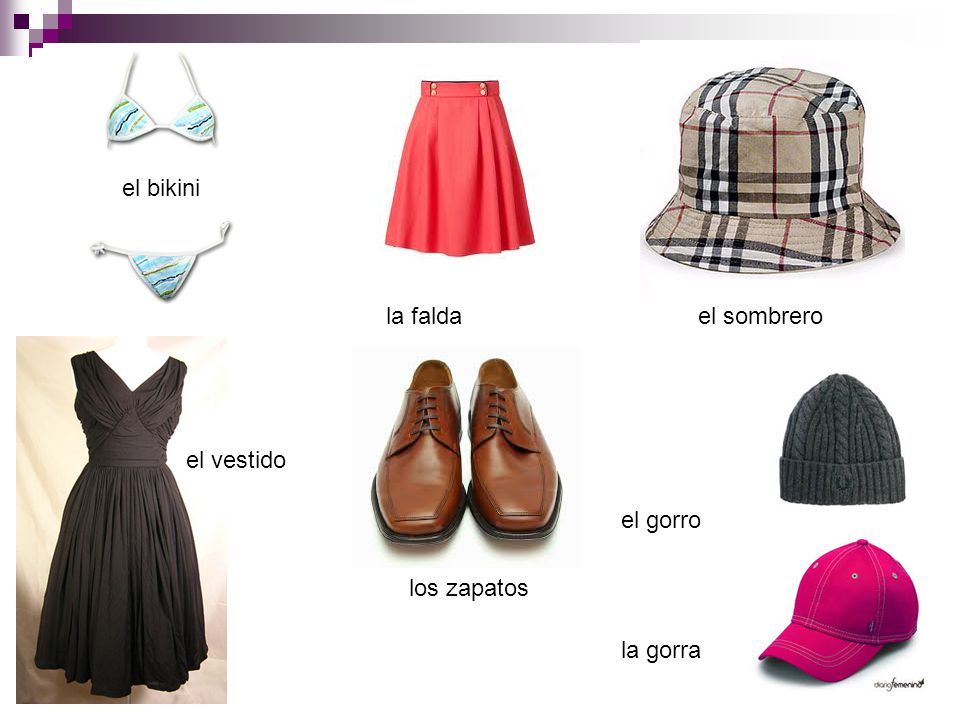 el bikini la falda el sombrero el vestido el gorro la gorra los zapatos