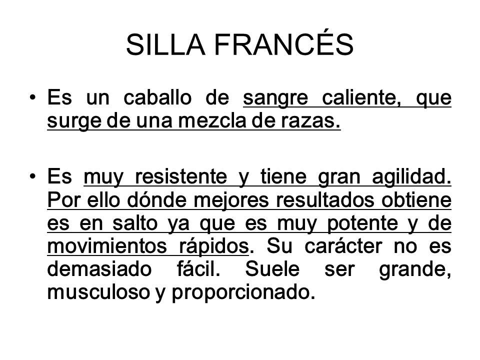 SILLA FRANCÉS Es un caballo de sangre caliente, que surge de una mezcla de razas.