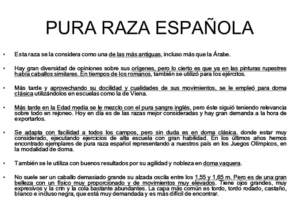 PURA RAZA ESPAÑOLA Esta raza se la considera como una de las más antiguas, incluso más que la Árabe.