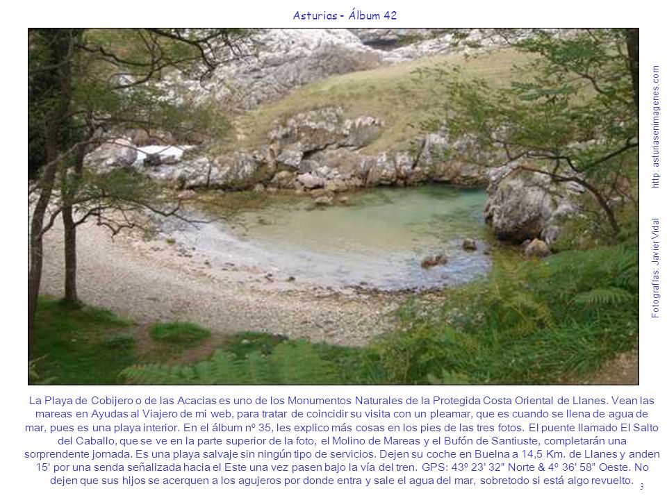 La Playa de Cobijero o de las Acacias es uno de los Monumentos Naturales de la Protegida Costa Oriental de Llanes. Vean las mareas en Ayudas al Viajero de mi web, para tratar de coincidir su visita con un pleamar, que es cuando se llena de agua de mar, pues es una playa interior. En el álbum nº 35, les explico más cosas en los pies de las tres fotos. El puente llamado El Salto del Caballo, que se ve en la parte superior de la foto, el Molino de Mareas y el Bufón de Santiuste, completarán una sorprendente jornada. Es una playa salvaje sin ningún tipo de servicios. Dejen su coche en Buelna a 14,5 Km. de Llanes y anden 15’ por una senda señalizada hacia el Este una vez pasen bajo la vía del tren. GPS: 43º 23’ 32 Norte & 4º 36’ 58 Oeste. No dejen que sus hijos se acerquen a los agujeros por donde entra y sale el agua del mar, sobretodo si está algo revuelto.