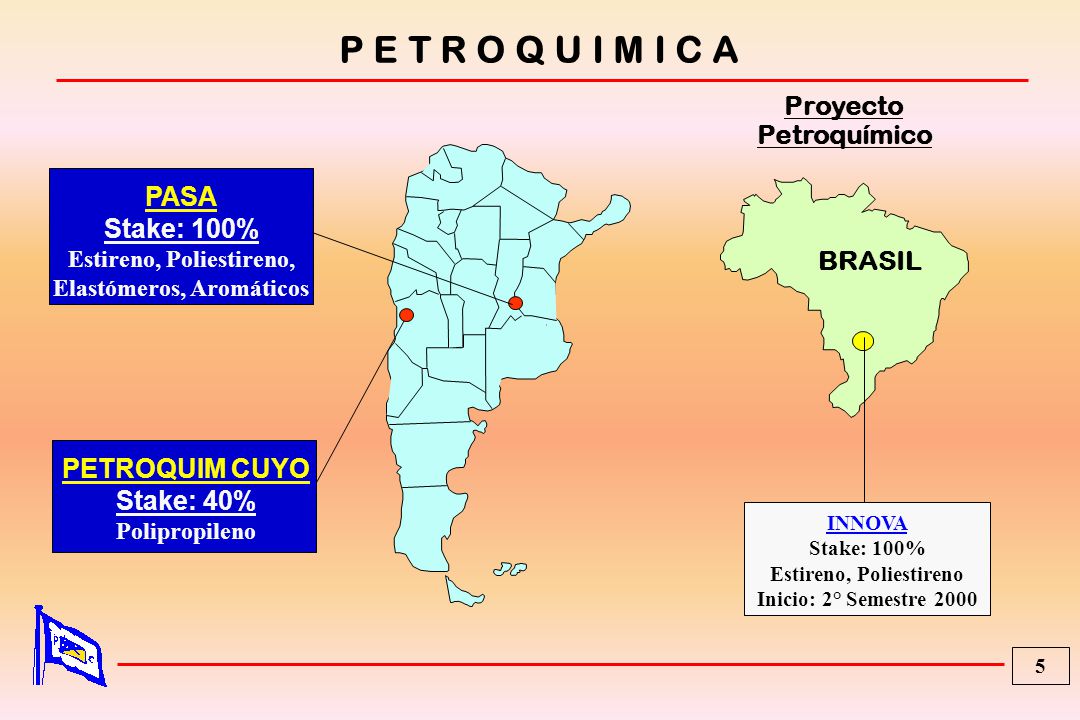 P E T R O Q U I M I C A Proyecto Petroquímico PASA Stake: 100% BRASIL