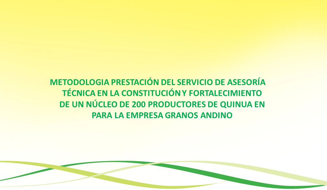 METODOLOGIA PRESTACIÓN DEL SERVICIO DE ASESORÍA TÉCNICA EN LA CONSTITUCIÓN Y FORTALECIMIENTO DE UN NÚCLEO DE 200 PRODUCTORES DE QUINUA EN PARA LA EMPRESA GRANOS ANDINO