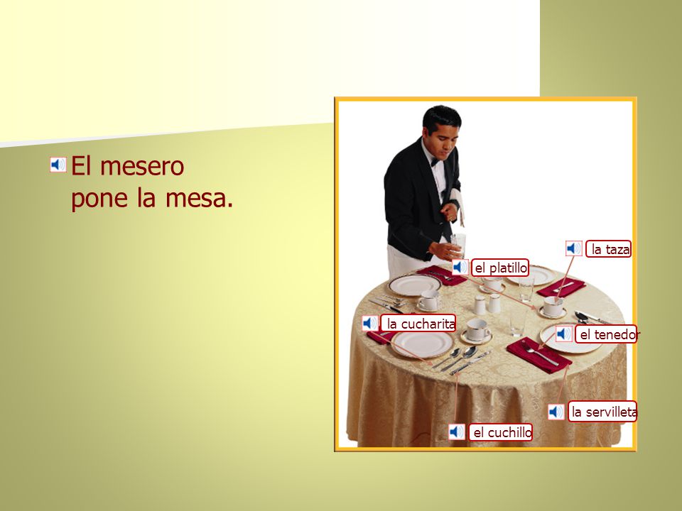 El mesero pone la mesa. la taza el platillo la cucharita el tenedor