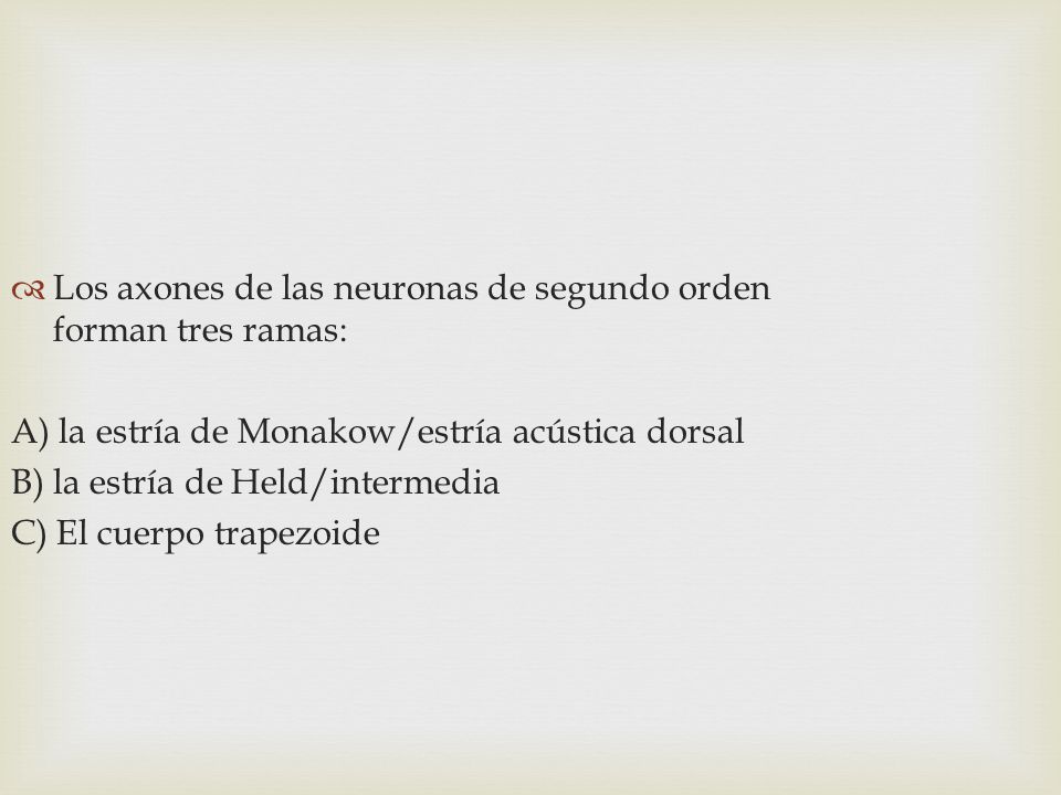 Los axones de las neuronas de segundo orden forman tres ramas: