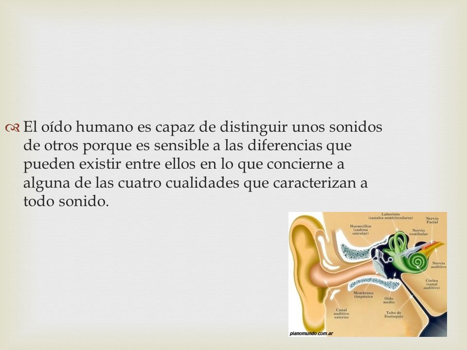 El oído humano es capaz de distinguir unos sonidos de otros porque es sensible a las diferencias que pueden existir entre ellos en lo que concierne a alguna de las cuatro cualidades que caracterizan a todo sonido.