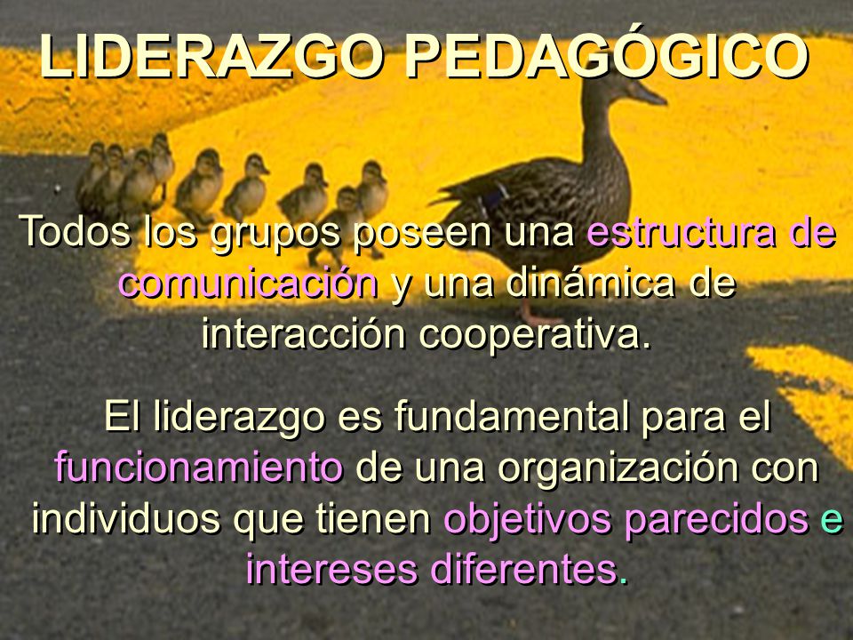 LIDERAZGO PEDAGÓGICO Todos los grupos poseen una estructura de comunicación y una dinámica de interacción cooperativa.
