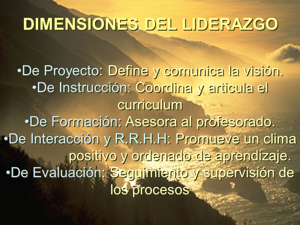 DIMENSIONES DEL LIDERAZGO