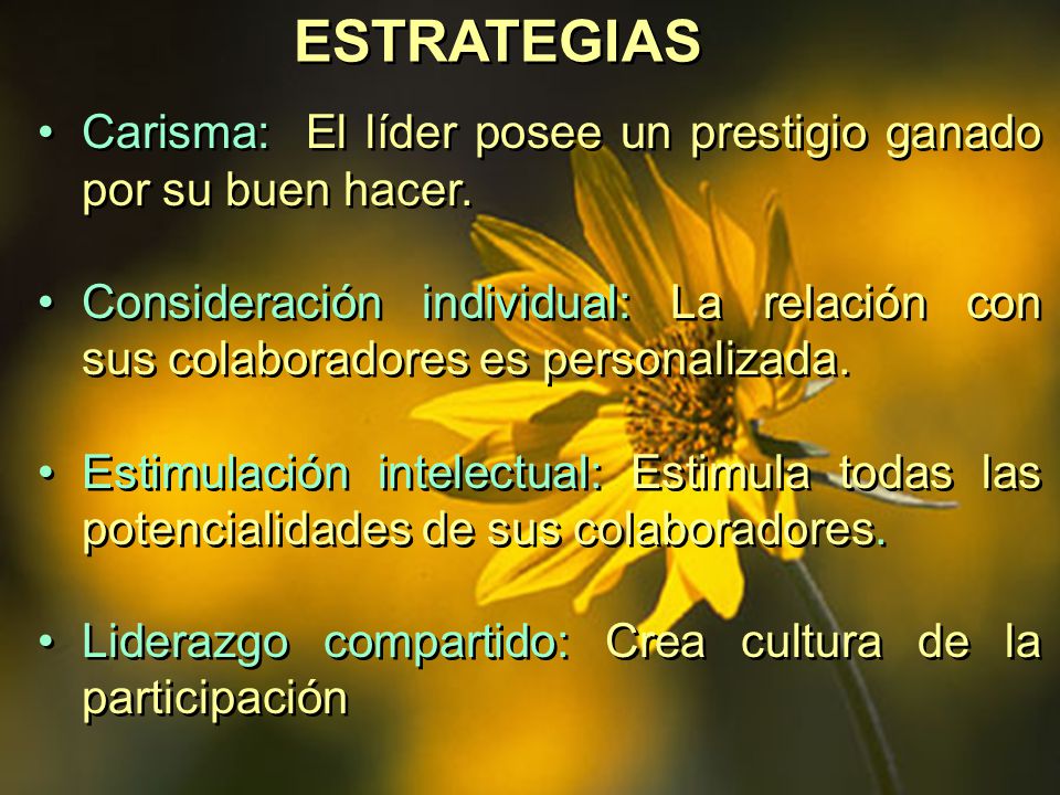 ESTRATEGIAS Carisma: El líder posee un prestigio ganado por su buen hacer.