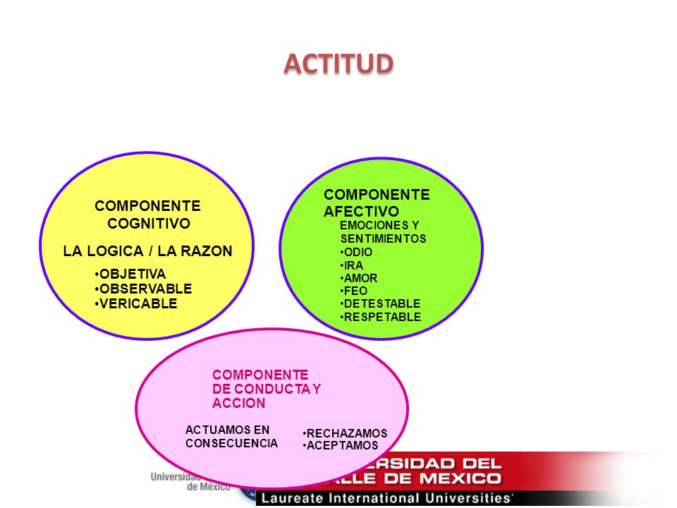 ACTITUD COMPONENTE AFECTIVO COMPONENTE COGNITIVO LA LOGICA / LA RAZON