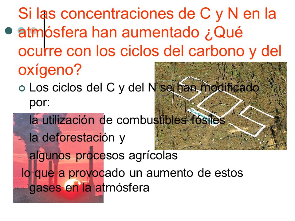 Si las concentraciones de C y N en la atmósfera han aumentado ¿Qué ocurre con los ciclos del carbono y del oxígeno