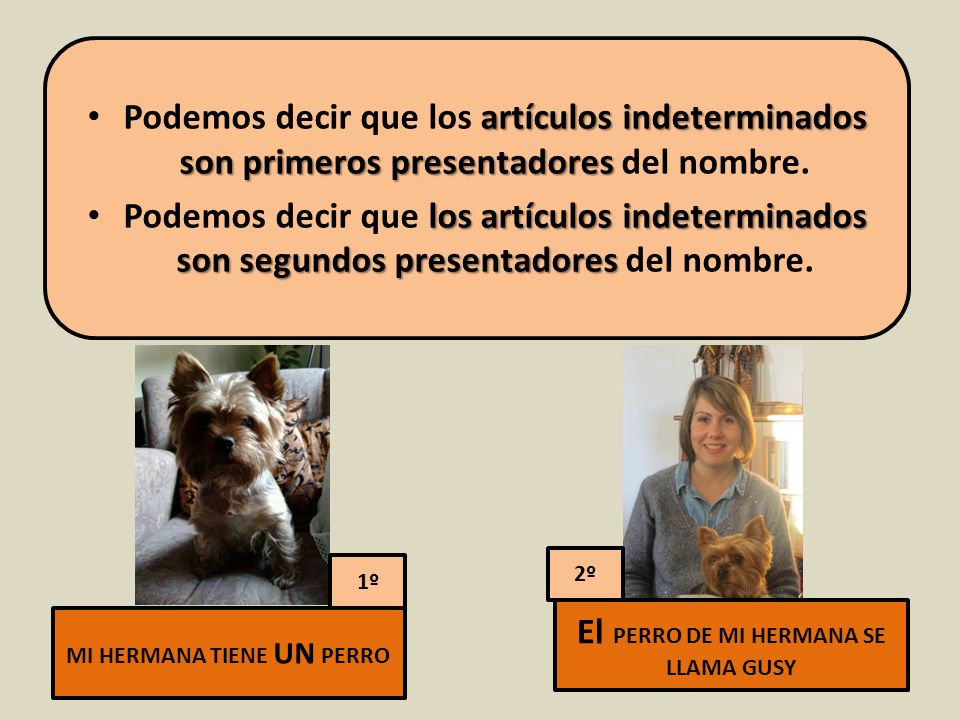 El PERRO DE MI HERMANA SE LLAMA GUSY MI HERMANA TIENE UN PERRO