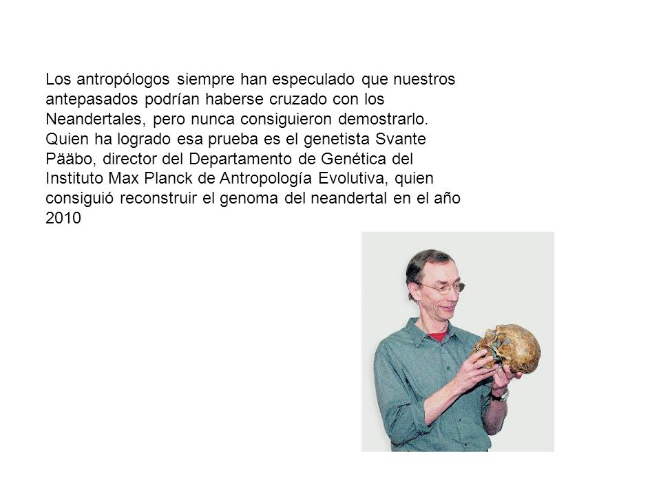 Los antropólogos siempre han especulado que nuestros antepasados podrían haberse cruzado con los Neandertales, pero nunca consiguieron demostrarlo.