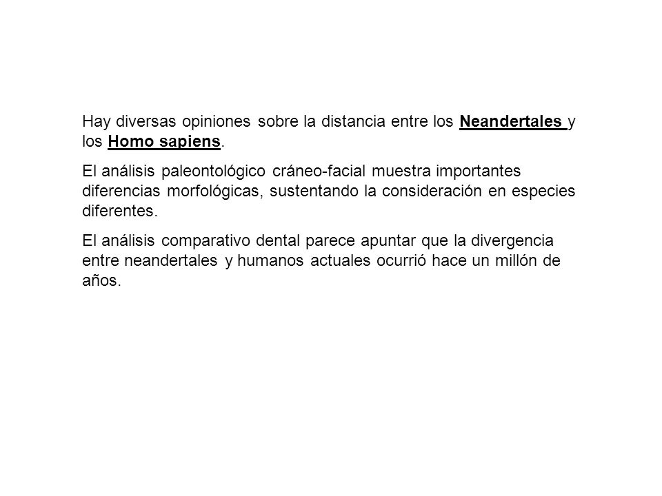 Hay diversas opiniones sobre la distancia entre los Neandertales y los Homo sapiens.