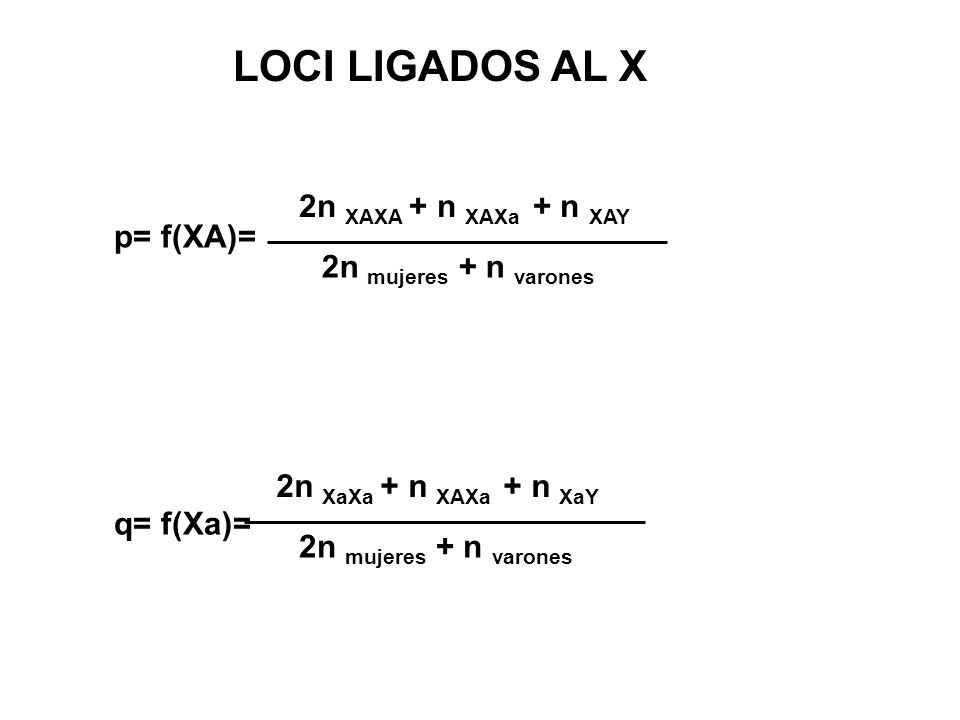LOCI LIGADOS AL X 2n XAXA + n XAXa + n XAY p= f(XA)=