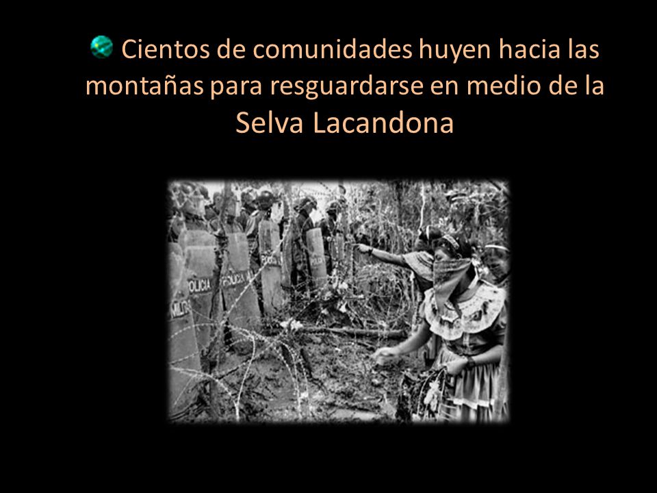 Cientos de comunidades huyen hacia las montañas para resguardarse en medio de la Selva Lacandona