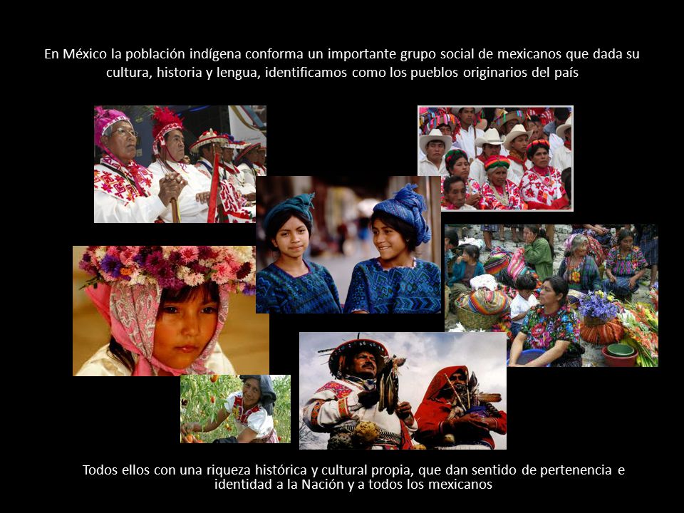 En México la población indígena conforma un importante grupo social de mexicanos que dada su cultura, historia y lengua, identificamos como los pueblos originarios del país