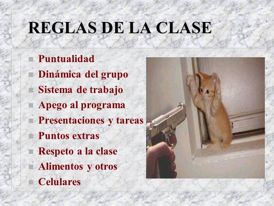REGLAS DE LA CLASE Puntualidad Dinámica del grupo Sistema de trabajo