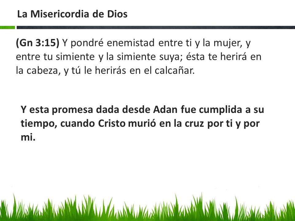 La Misericordia de Dios
