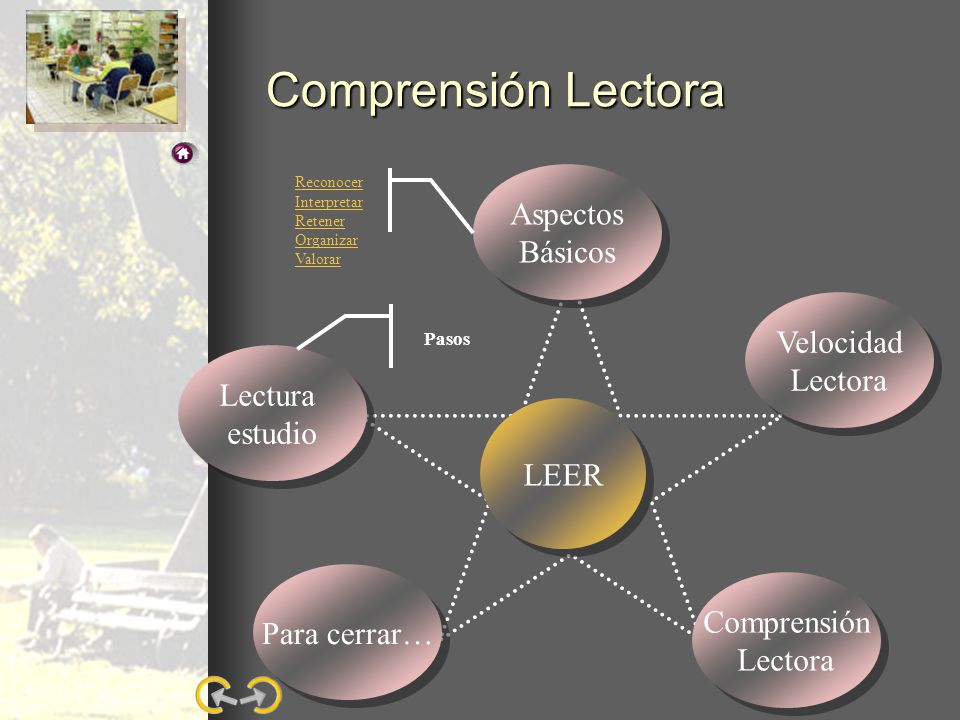 Comprensión Lectora Aspectos Básicos Velocidad Lectora Lectura estudio