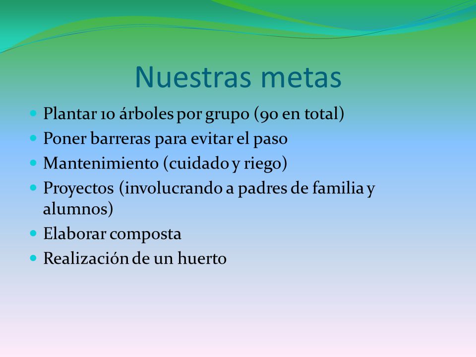 Nuestras metas Plantar 10 árboles por grupo (90 en total)