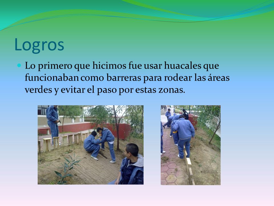 Logros Lo primero que hicimos fue usar huacales que funcionaban como barreras para rodear las áreas verdes y evitar el paso por estas zonas.