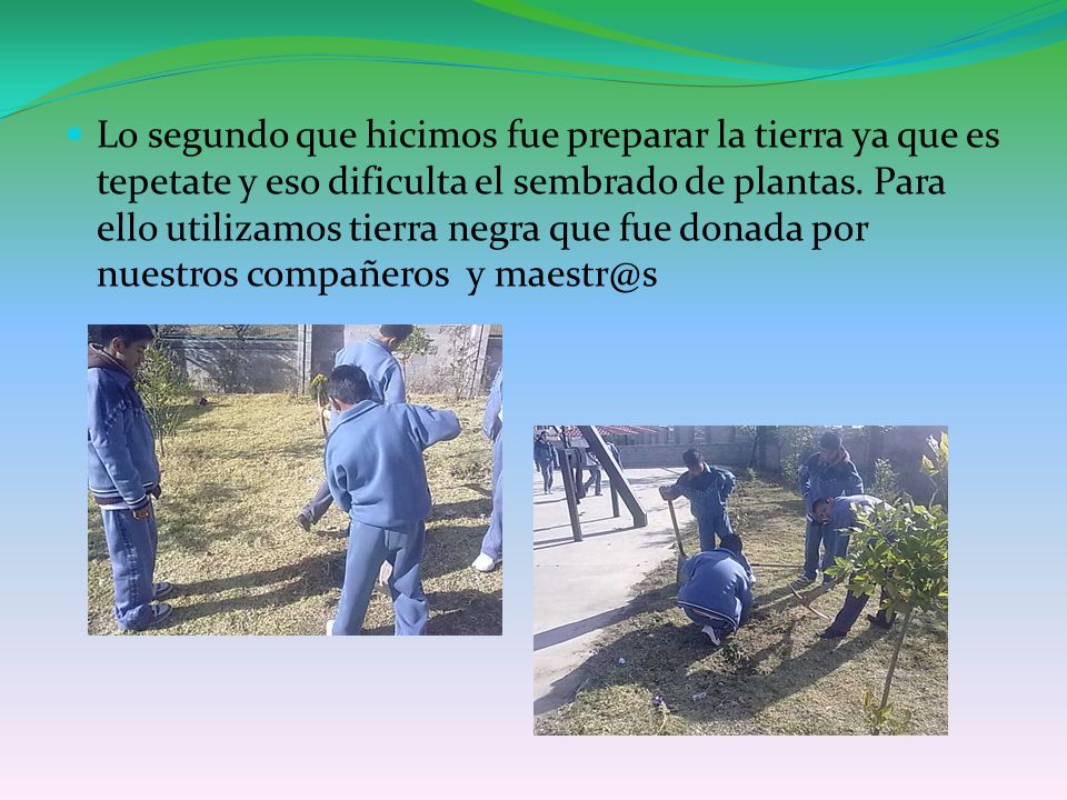 Lo segundo que hicimos fue preparar la tierra ya que es tepetate y eso dificulta el sembrado de plantas.