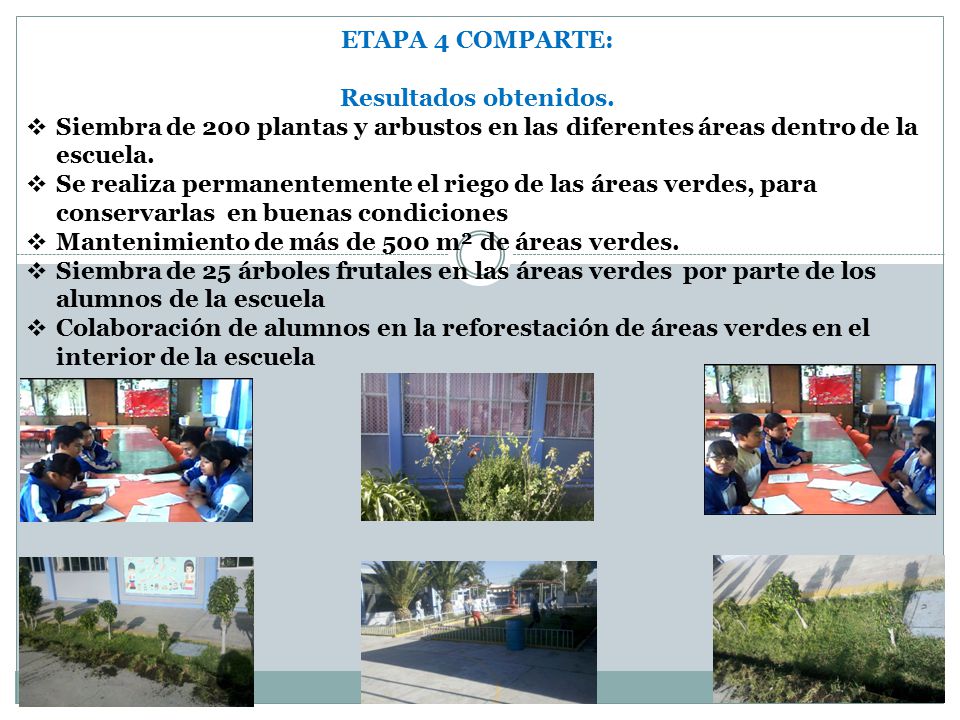 ETAPA 4 COMPARTE: Resultados obtenidos. Siembra de 200 plantas y arbustos en las diferentes áreas dentro de la escuela.