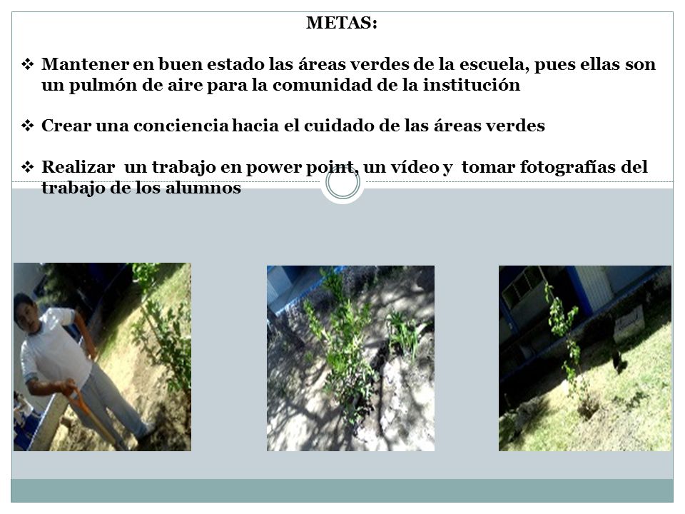 METAS: Mantener en buen estado las áreas verdes de la escuela, pues ellas son un pulmón de aire para la comunidad de la institución.