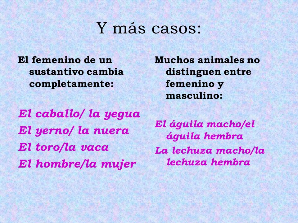 Y más casos: El caballo/ la yegua El yerno/ la nuera El toro/la vaca