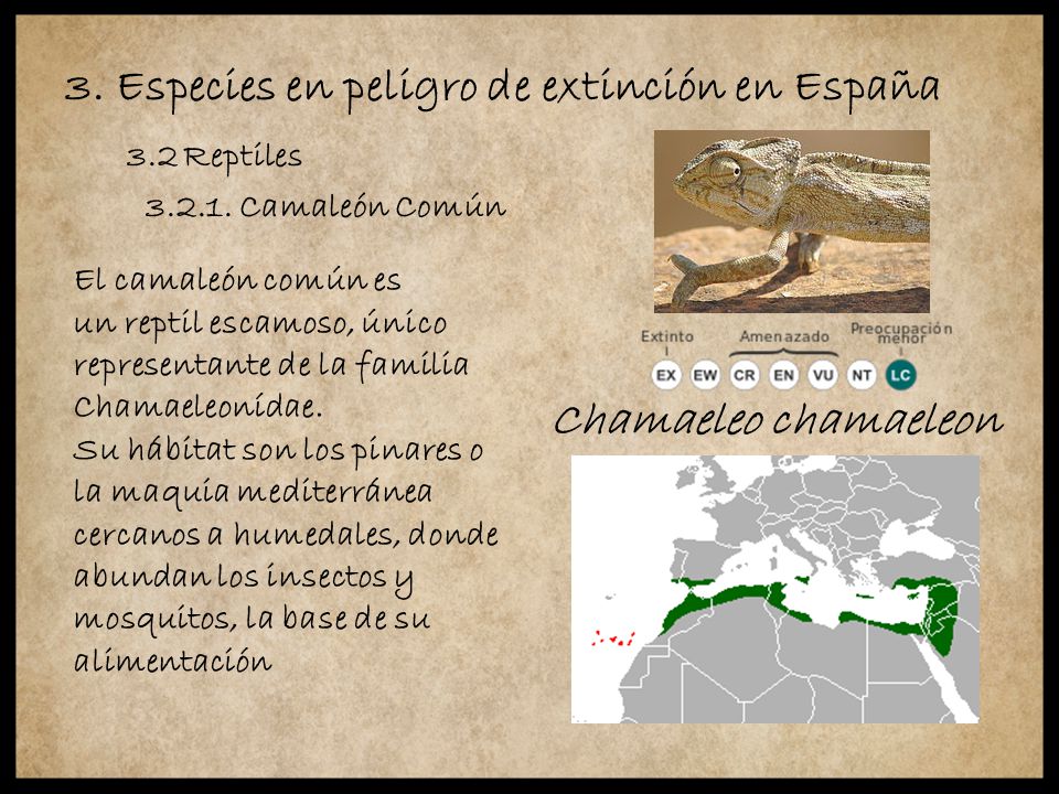 3.2 Reptiles 3. Especies en peligro de extinción en España