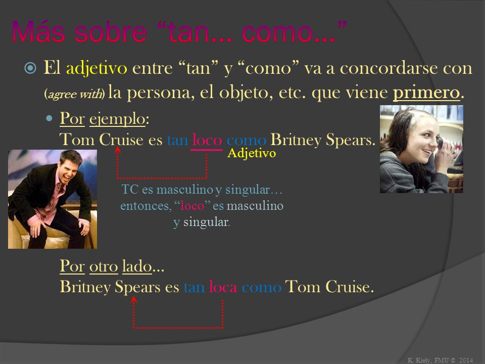 TC es masculino y singular… entonces, loco es masculino y singular.