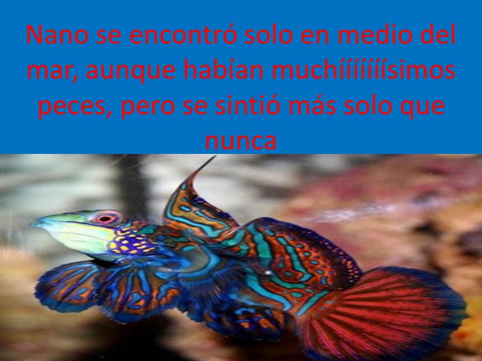Nano se encontró solo en medio del mar, aunque habían muchííííííísimos peces, pero se sintió más solo que nunca