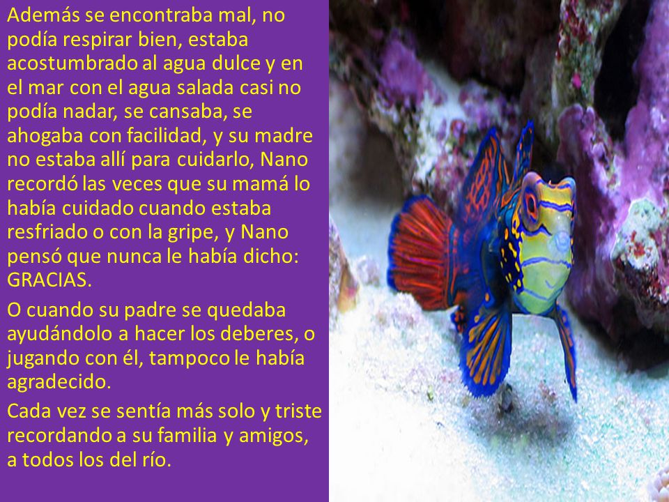 Además se encontraba mal, no podía respirar bien, estaba acostumbrado al agua dulce y en el mar con el agua salada casi no podía nadar, se cansaba, se ahogaba con facilidad, y su madre no estaba allí para cuidarlo, Nano recordó las veces que su mamá lo había cuidado cuando estaba resfriado o con la gripe, y Nano pensó que nunca le había dicho: GRACIAS.
