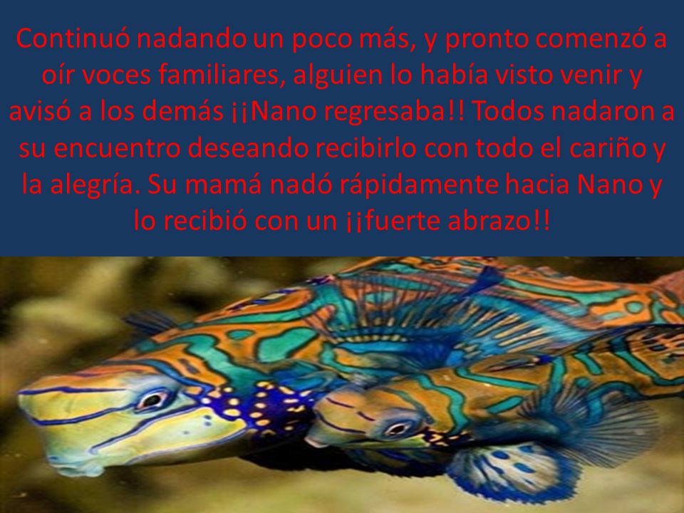 Continuó nadando un poco más, y pronto comenzó a oír voces familiares, alguien lo había visto venir y avisó a los demás ¡¡Nano regresaba!.