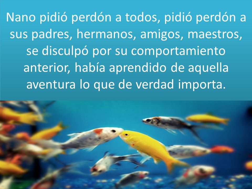 Nano pidió perdón a todos, pidió perdón a sus padres, hermanos, amigos, maestros, se disculpó por su comportamiento anterior, había aprendido de aquella aventura lo que de verdad importa.
