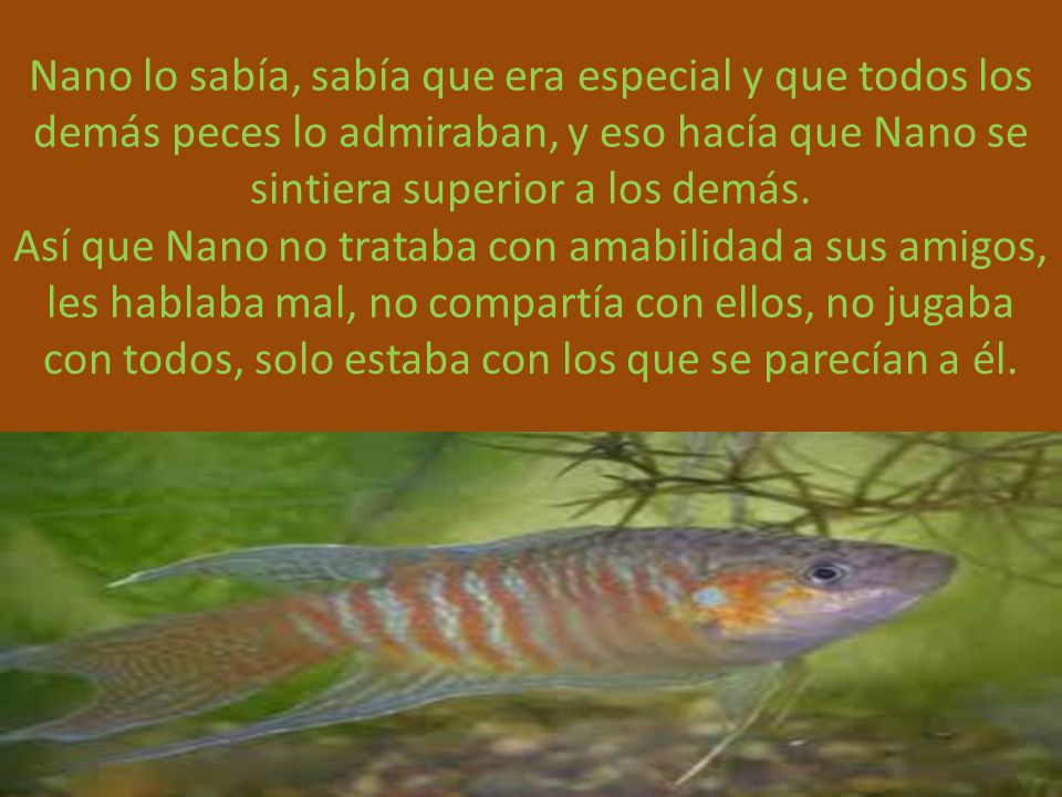 Nano lo sabía, sabía que era especial y que todos los demás peces lo admiraban, y eso hacía que Nano se sintiera superior a los demás.