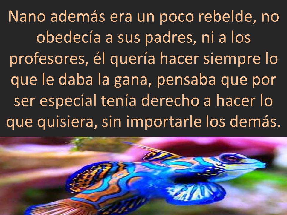 Nano además era un poco rebelde, no obedecía a sus padres, ni a los profesores, él quería hacer siempre lo que le daba la gana, pensaba que por ser especial tenía derecho a hacer lo que quisiera, sin importarle los demás.