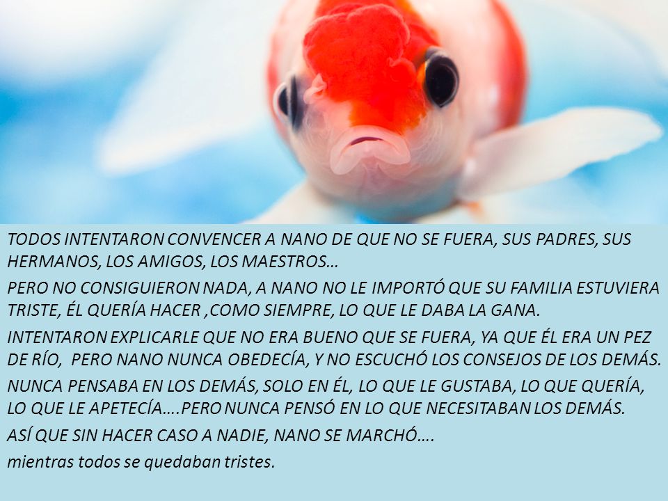 TODOS INTENTARON CONVENCER A NANO DE QUE NO SE FUERA, SUS PADRES, SUS HERMANOS, LOS AMIGOS, LOS MAESTROS…