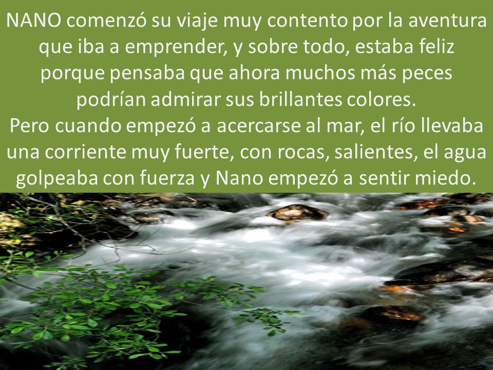 NANO comenzó su viaje muy contento por la aventura que iba a emprender, y sobre todo, estaba feliz porque pensaba que ahora muchos más peces podrían admirar sus brillantes colores.