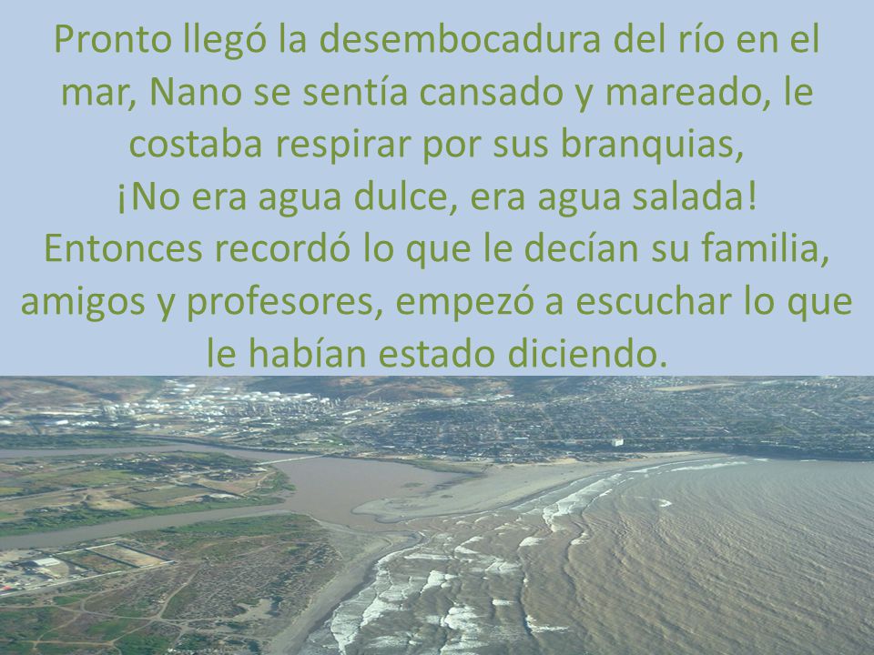 Pronto llegó la desembocadura del río en el mar, Nano se sentía cansado y mareado, le costaba respirar por sus branquias, ¡No era agua dulce, era agua salada.